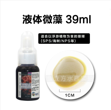 Auts Liqual Coral Grain Ocean Snow Fish Seartings Открыть зерно клоуны приманка вода Мать -морское лошадь.