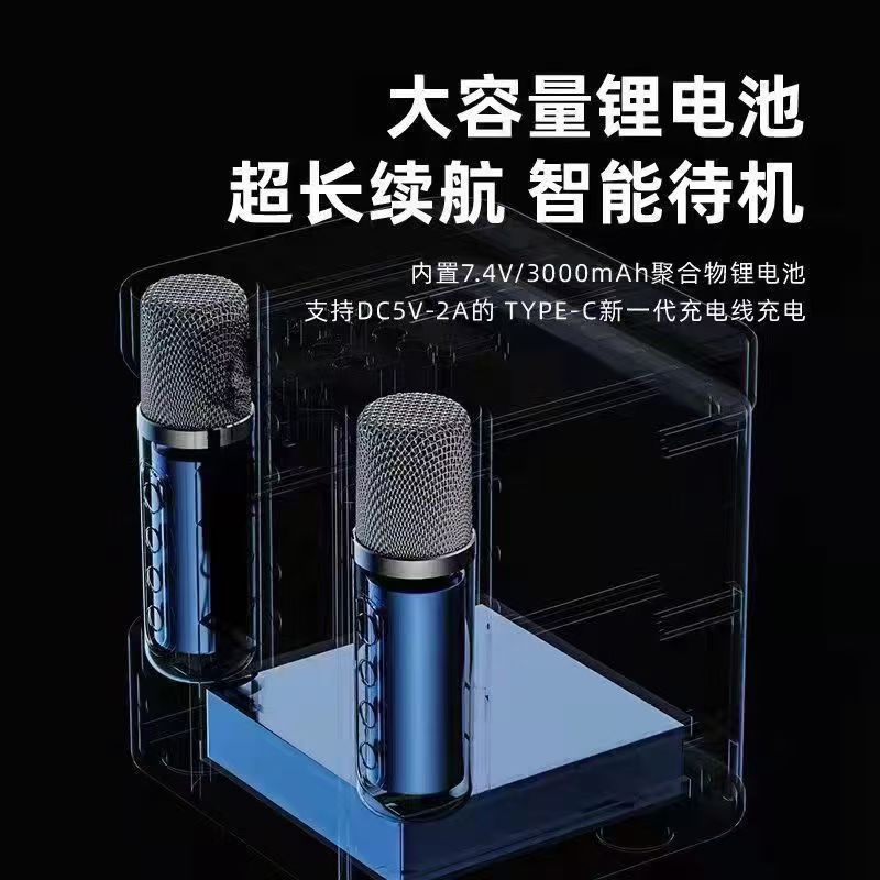 Беспроводной караоке-комплект с Bluetooth колонкой и двумя микрофонами
