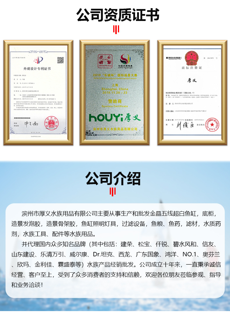公司介绍