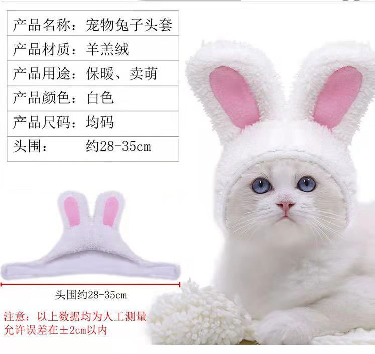 兔子帽子
