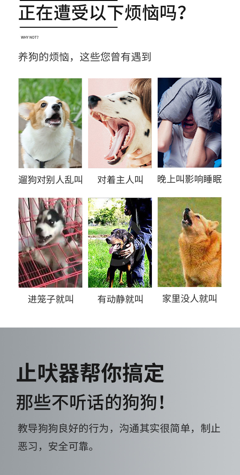 详情