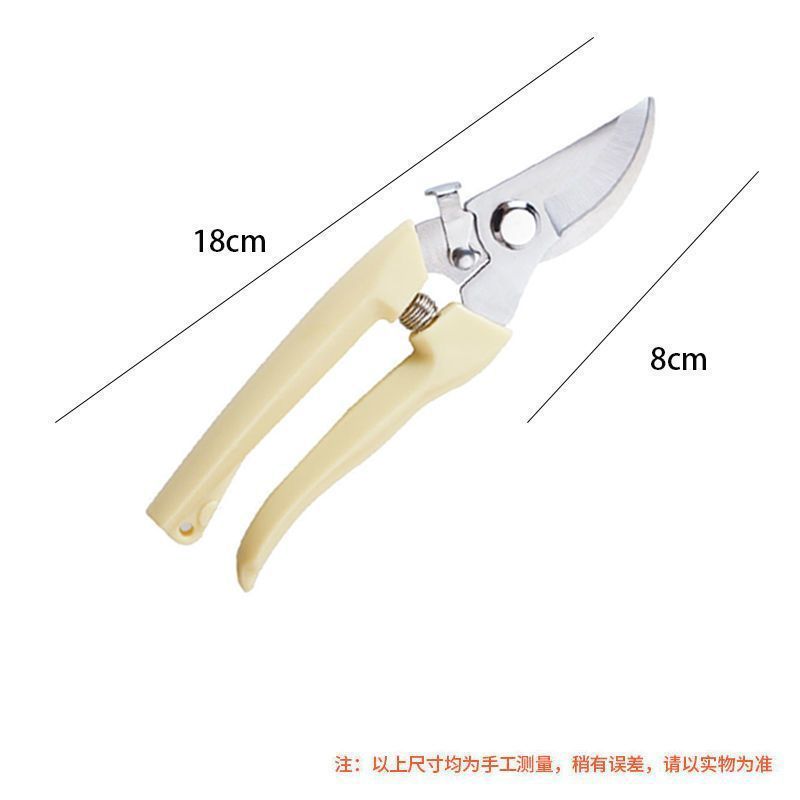 Pruning shears, gardening shears, specialized shears for pruning tree branches, garden pruning, new pruning shears for fruit trees, pruning floral arrangements, pruning shears