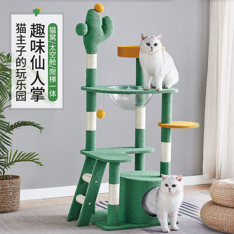 Сказочная кошка скалолазание кошачья кошачья кошка Западный кот вместе маленькие маленькие кошки, прыгающие кошки, укрытия кошки кошки продукты
