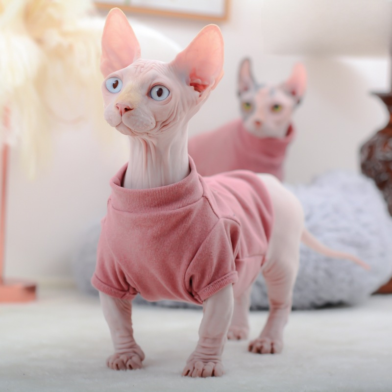 Moorspet Sphinx Devin Wathless Cat Одежда осень и разработчик зимнего стиля база с четвероногим теплым домашним животным кошка