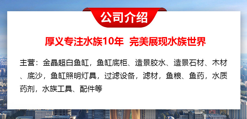 公司主营
