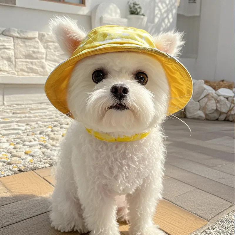 Петухолочное снабжение Pet Hat Pet Dog Симпатичные уши, выставленные, чтобы предотвратить падение с регулируемой шляпной шляпной шляпой шляпы кота