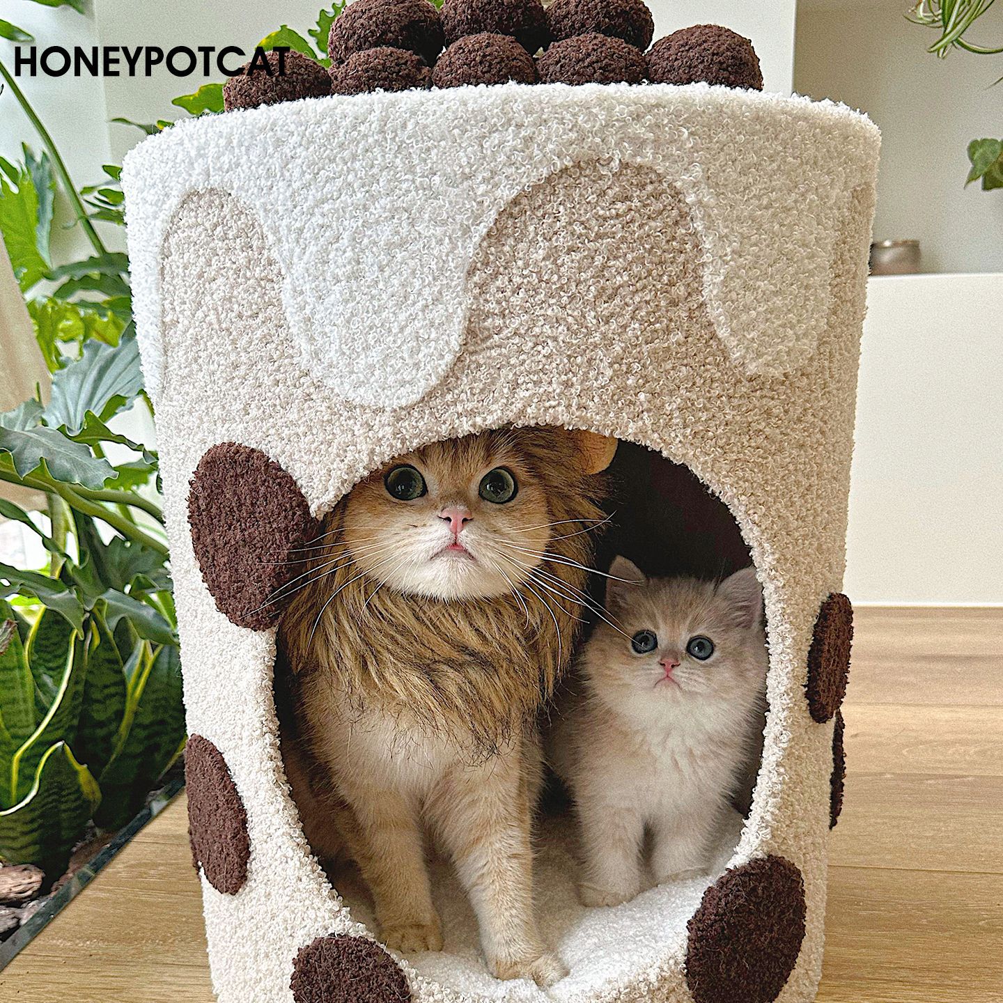 Многослойный спортивный комплекс для кошек Honeypotcat Кактус