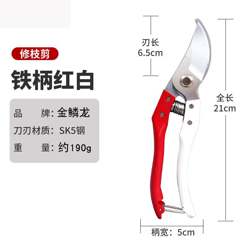Pruning shears, gardening shears, specialized shears for pruning tree branches, garden pruning, new pruning shears for fruit trees, pruning floral arrangements, pruning shears
