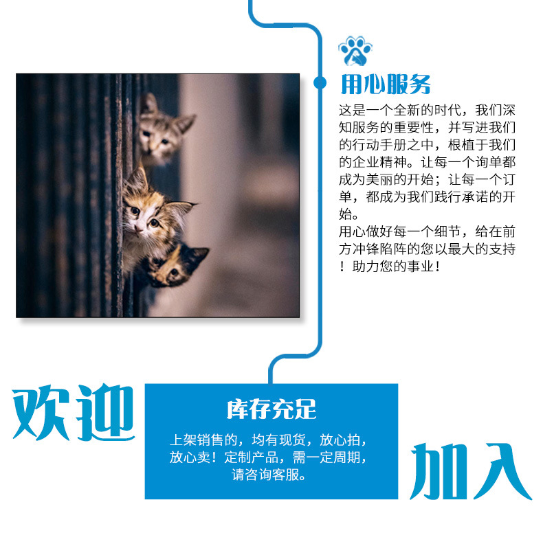 六大优势4.jpg