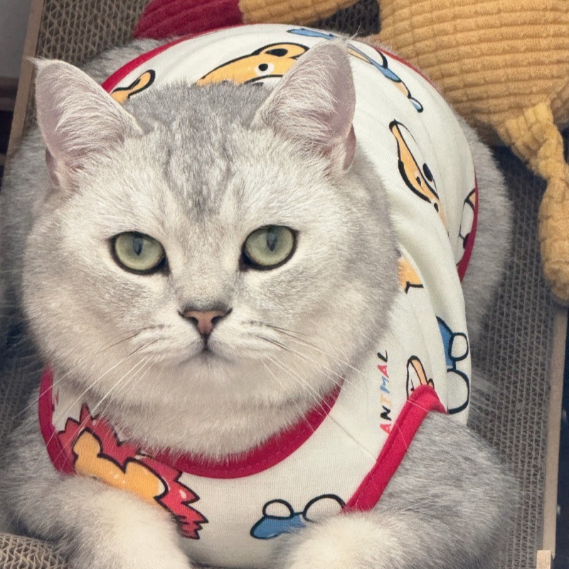 Кошачья одежда против HAIR KITTEN CAT Одежда летняя одежда смешная рисунка котенок кот кот