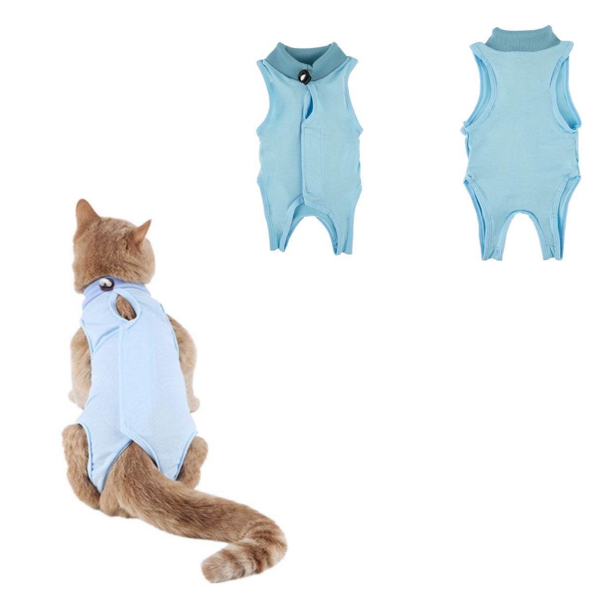 Amazon Cat Coolmark Older Catten Broken Cat Broken Cat