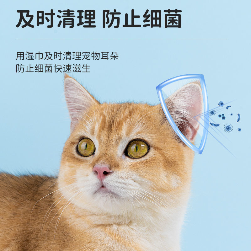 Ушные кошки кошачья кошачья кошки для ушей собаки для ушей мыть