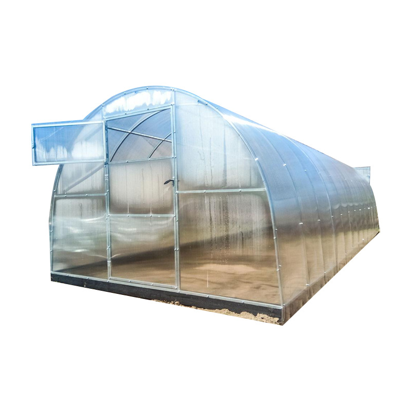 Polycarbonate greenhouse, galvanized steel pipe greenhouse frame, vegetable and fruit planting, sunlight board greenhouse