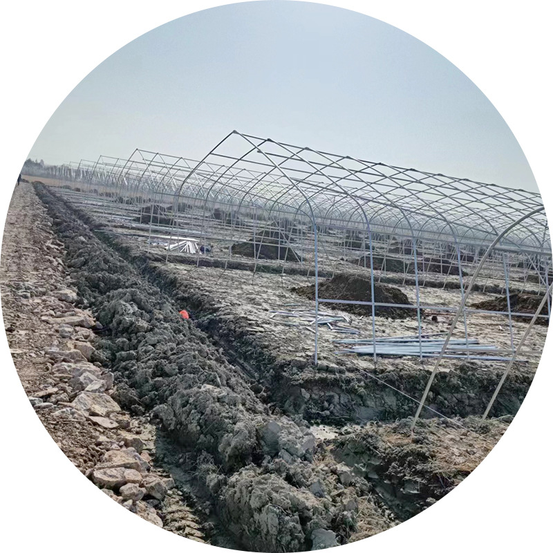 Single temperature chamber greenhouse skeleton installation, simple household flower and vegetable cultivation greenhouse, vegetable planting single greenhouse