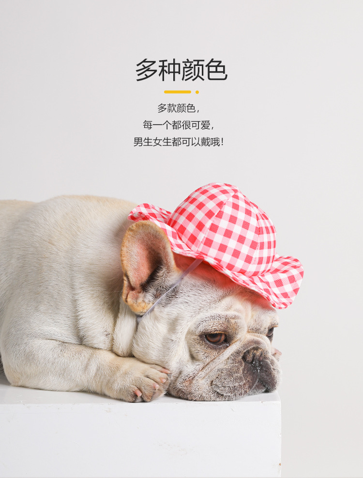 小黄帽_03.jpg