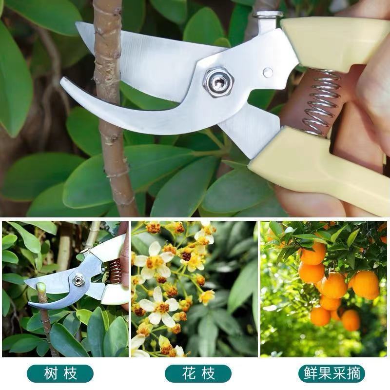 Strong stainless steel pruning shears for rough branches, orchard fruit picking, specialized flower pruning and fruit thinning, multifunctional garden tree branches shears