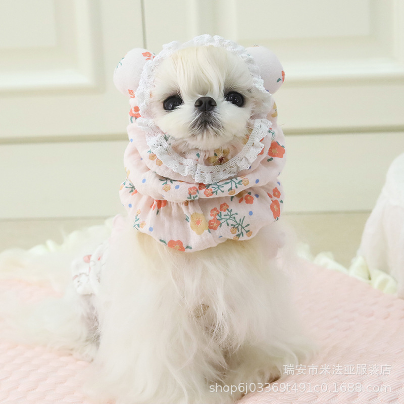 Mafa Pet Cats and Dogs, чтобы съесть анти -пышное хлопковое кружево милый и забавный INS, занимая трехмерного ушного медведя