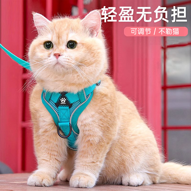 Кошка вела жилетная жилетная отражающая грудь ПЭТ