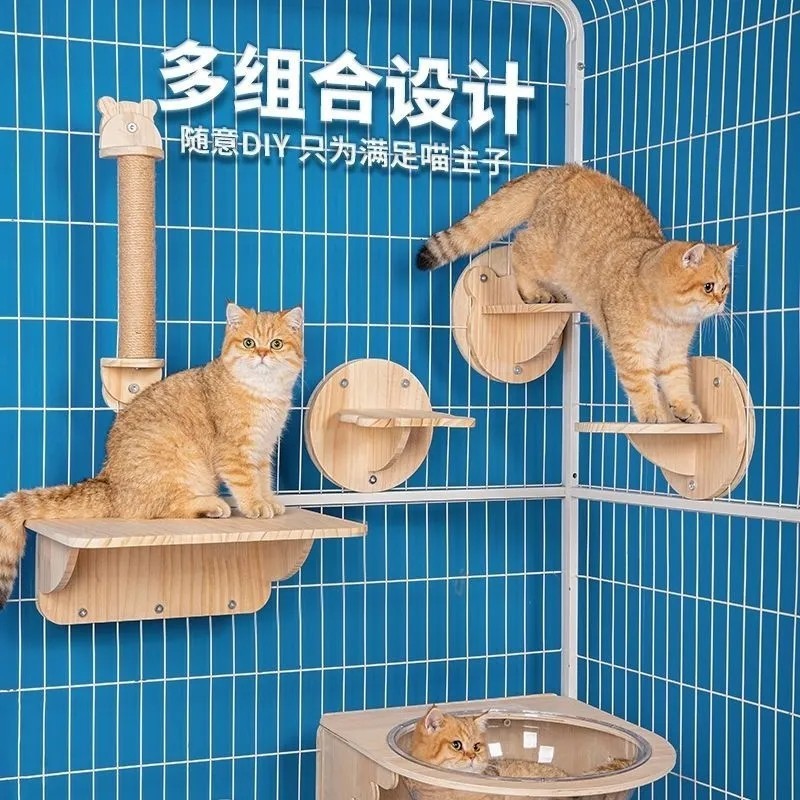 Кошачья клетка кошачья кошка на стене -на стене -космическая салона с трамплинарной панмингом