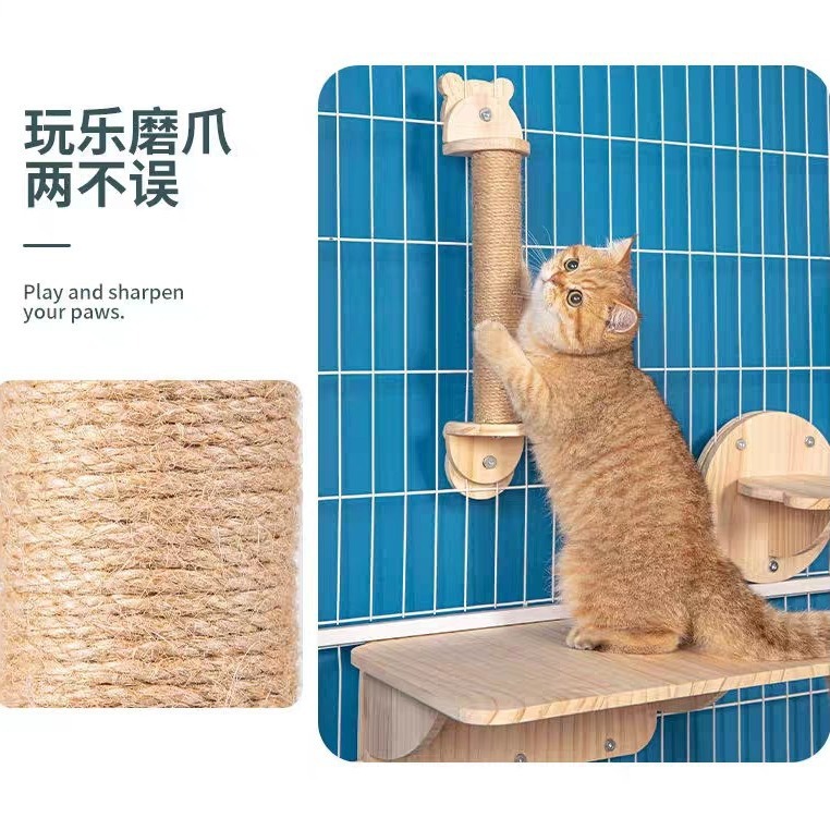 Кошачья клетка кошачья кошка на стене -на стене -космическая салона с трамплинарной панмингом