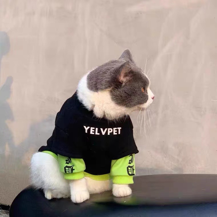 Осенние и зимние кошки, собаки, приливная одежда для бренда куколка Cat Blue Cats Anti -Fur Mear маленькая собака Sherina Pet плюс бархатный свитер