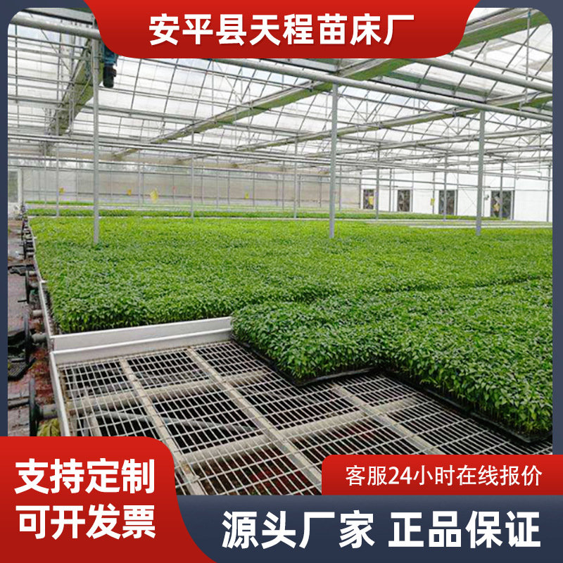 Manufacturer greenhouse seedling bed flower greenhouse planting soilless cultivation fixed hot-dip galvanized seedling bed accessories