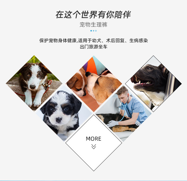 公狗尿裤详情页_06.jpg