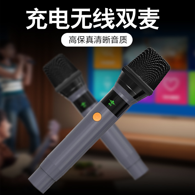 Домашняя KTV система с беспроводными микрофонами Other