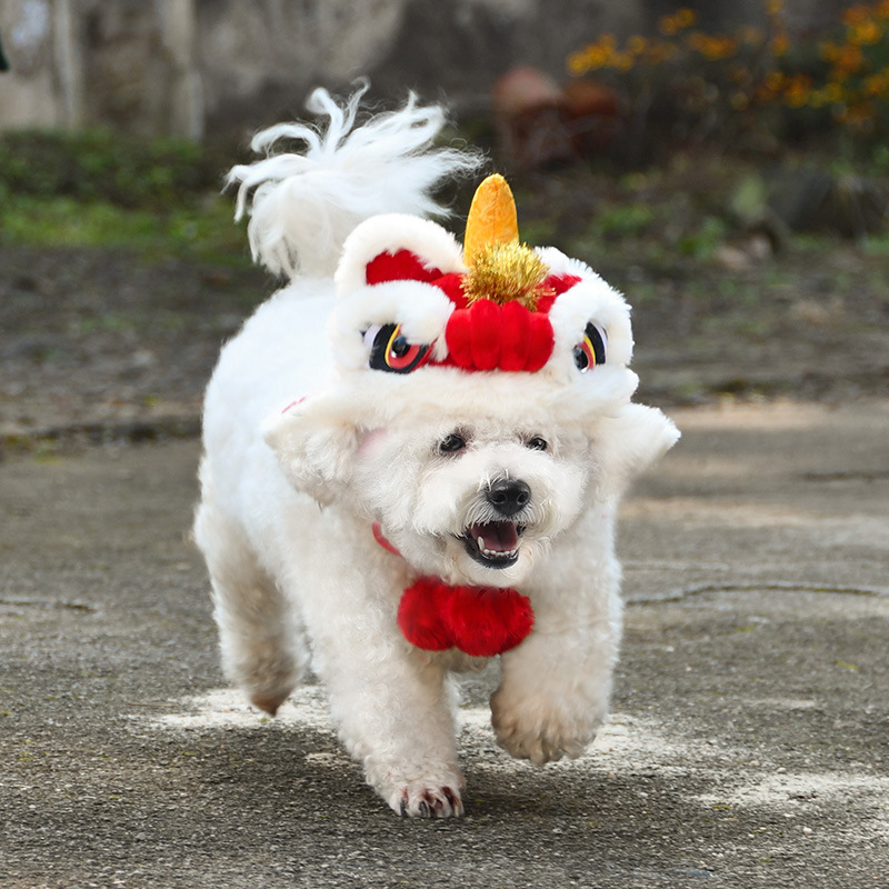 Новогодний лев шляпа Mizuzai Pet Produce Новый год