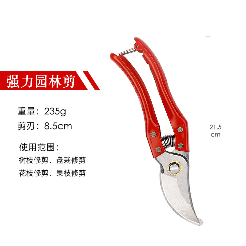 Pruning shears, gardening shears, specialized shears for pruning tree branches, garden pruning, new pruning shears for fruit trees, pruning floral arrangements, pruning shears