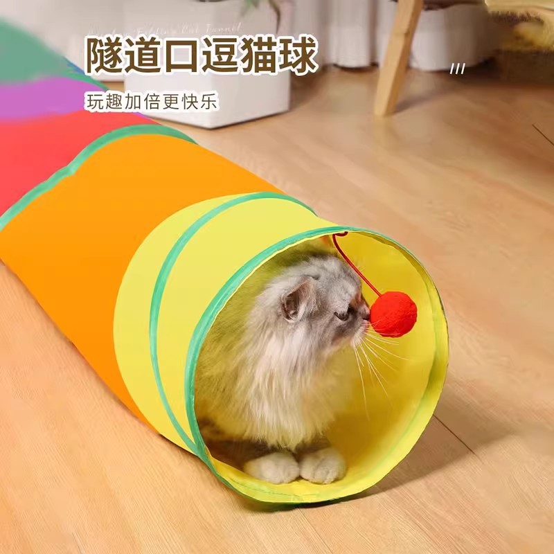 Игрушка, туннель, лабиринт, избавление от скуки, котенок, кот, домашний питомец