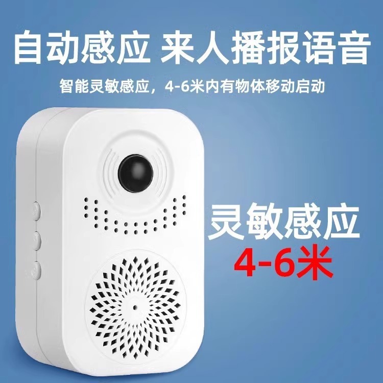 Датчик входа с голосовым оповещением Dingdong Voice Store
