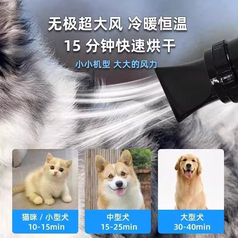 Chunzhou BS2400 ПЭТ -водонадушка Высокая мощность молчали