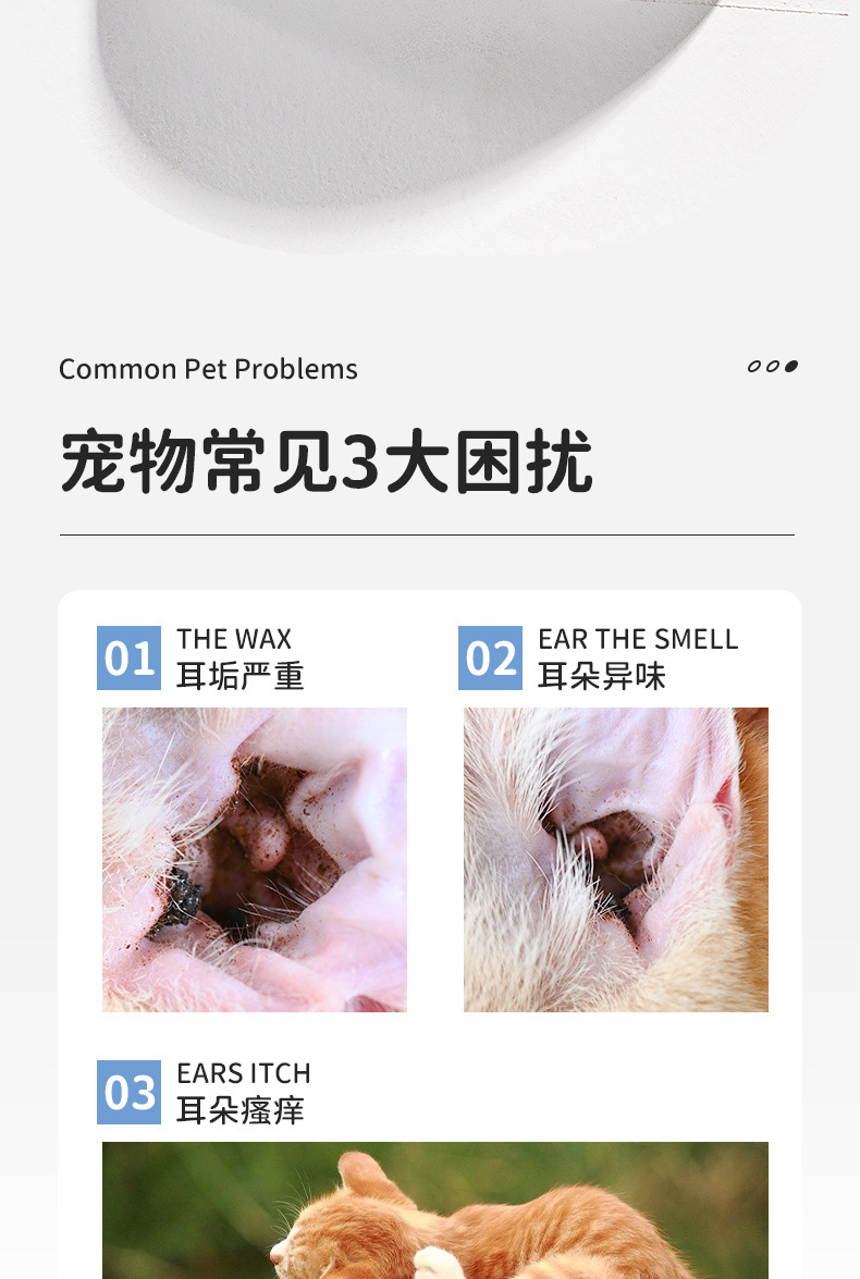 3e2ef2d1-628c-4427-b74f-849f29d56b63.jpe
