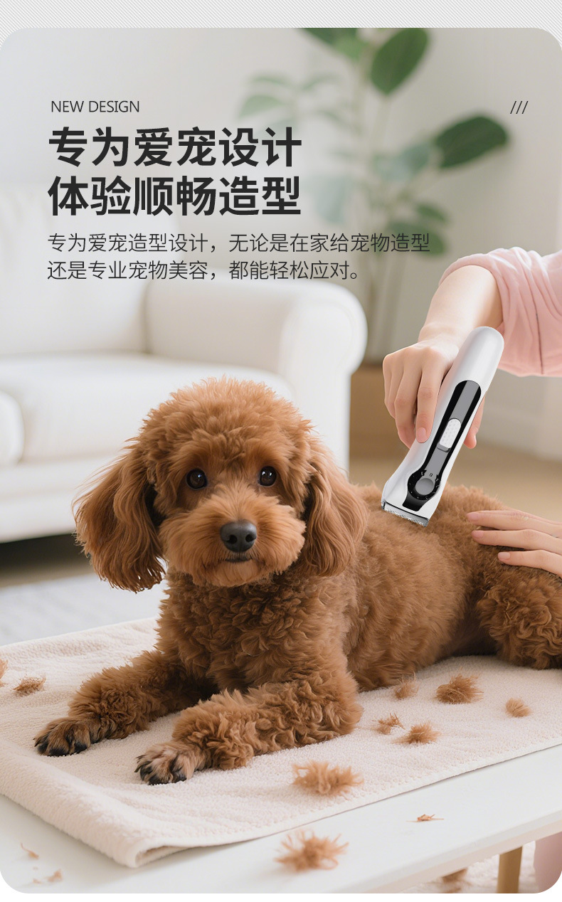 狗狗