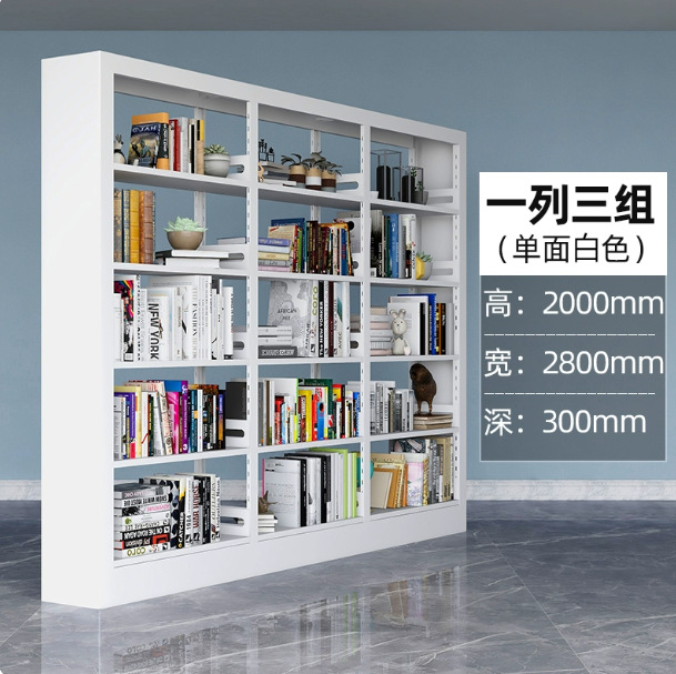 Steel bookshelf, book reading rack, household book storage rack, archive storage rack, double-sided data rack, minimalist design
