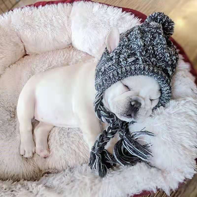 Pet Cat Hat Fad Pug Big Dog Cat Dog Pet предоставляет осень и зимняя собака шерсть Amazon Teddy