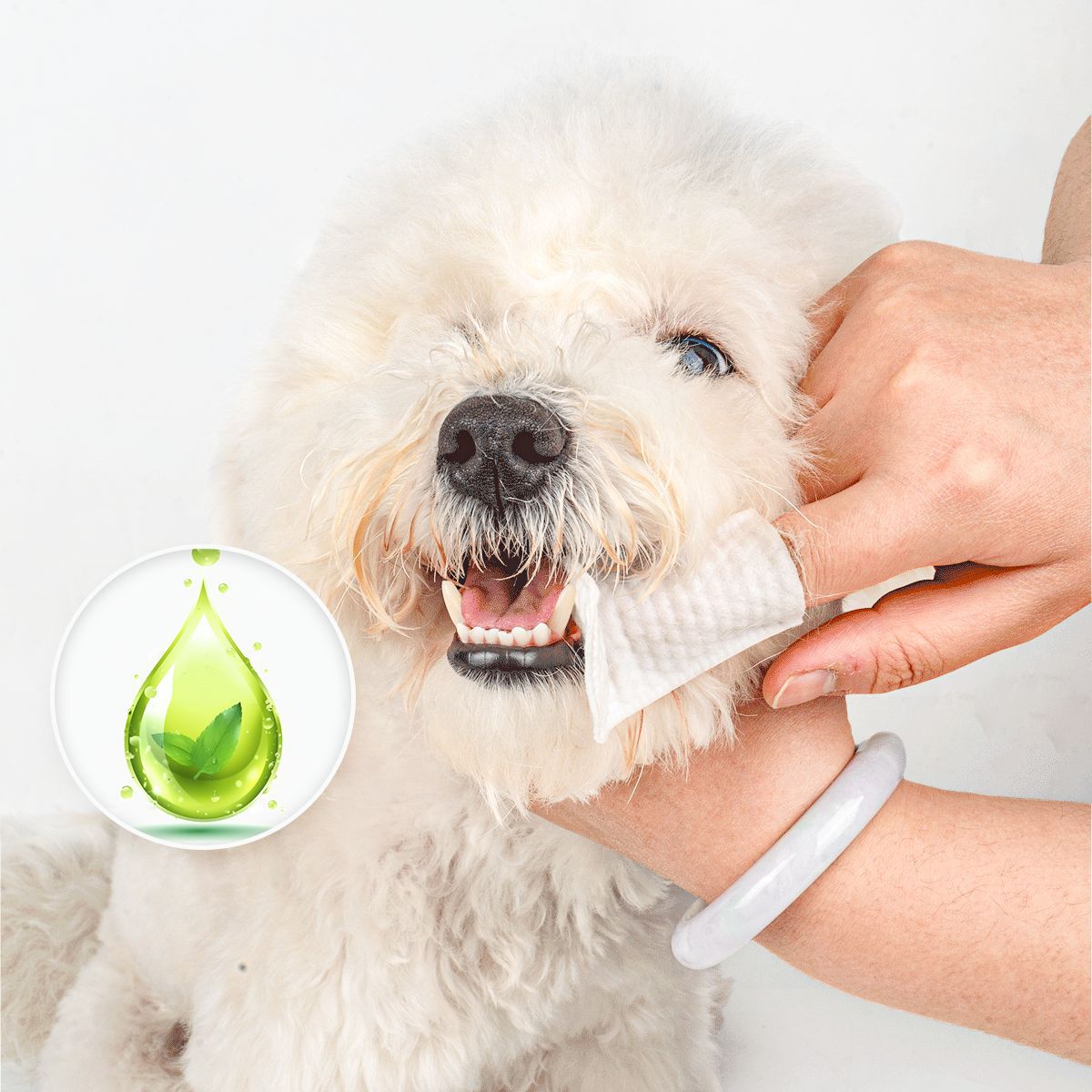 Салфетки для чистки зубов DONO Pet для чистки зубов удаляют зубы собаки, освежают дыхание кошки и очищают зубной камень.