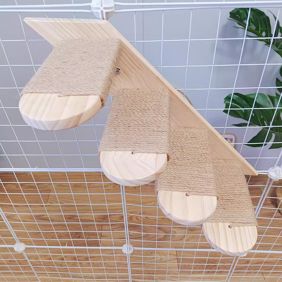 Кошачья клетка кошачья кошка на стене -на стене -космическая салона с трамплинарной панмингом