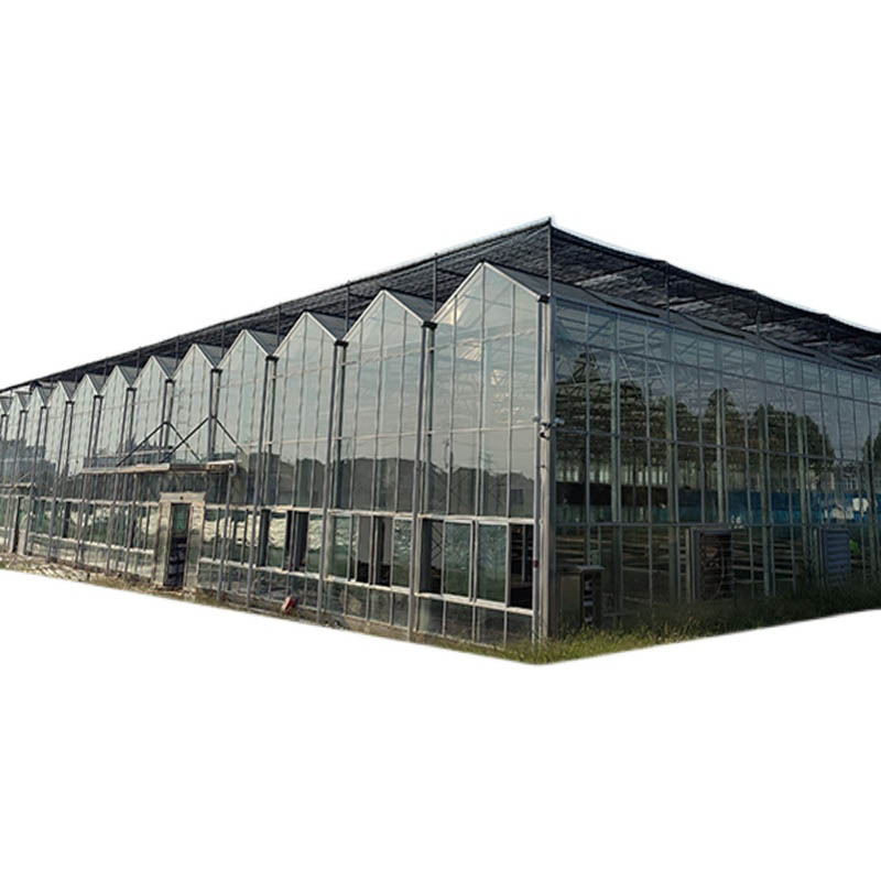 Farm greenhouse, flower garden, various specifications of materials, intelligent breeding greenhouse, steel pipe skeleton design and installation