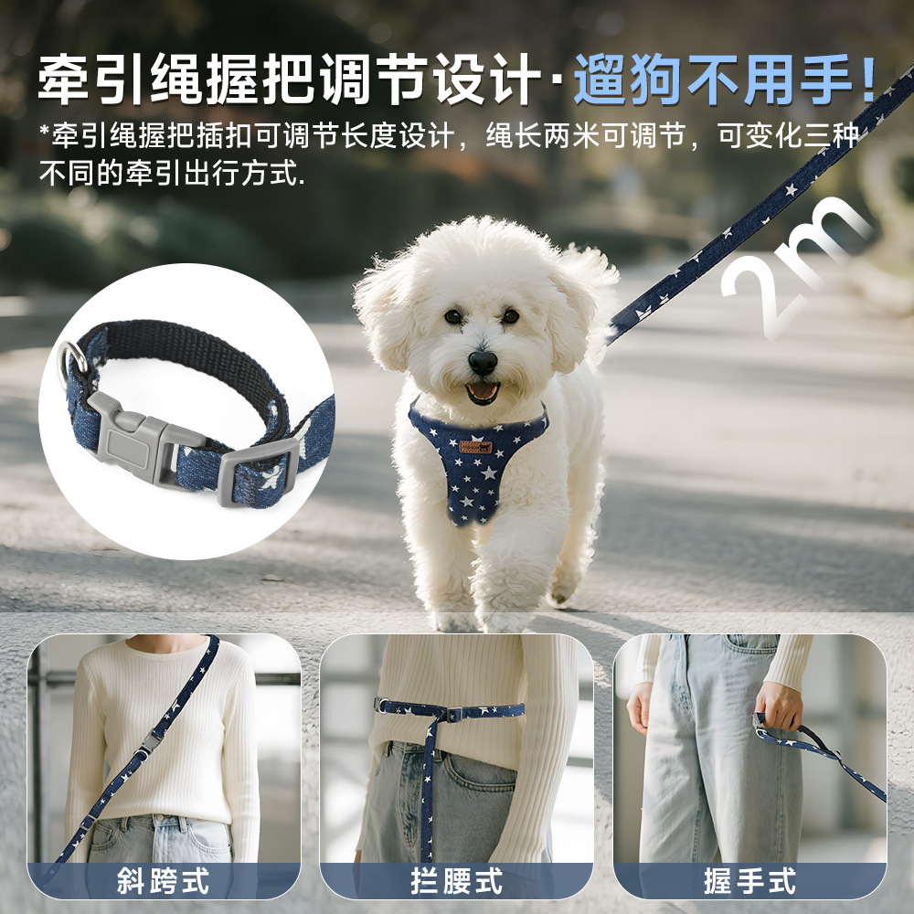 Комплект шлейки для поводка в виде жилета для собак Teddy Bichon, многофункциональная шлейка для собак маленьких и средних размеров Bichon Frize