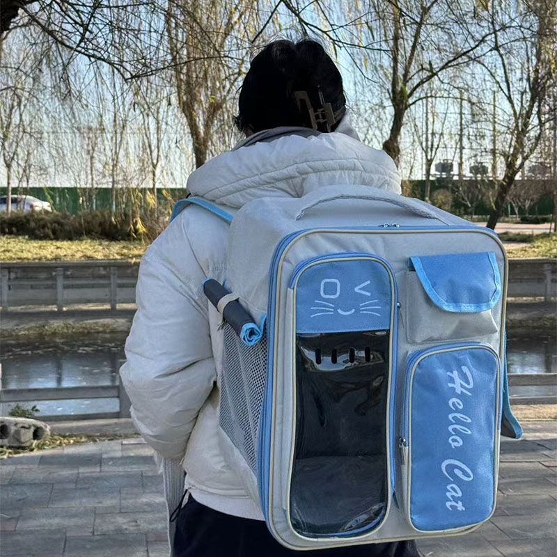 Вместительный и большой рюкзак для выхода на улицу, дышащая портативная вместительная и большая барсетка, 7x