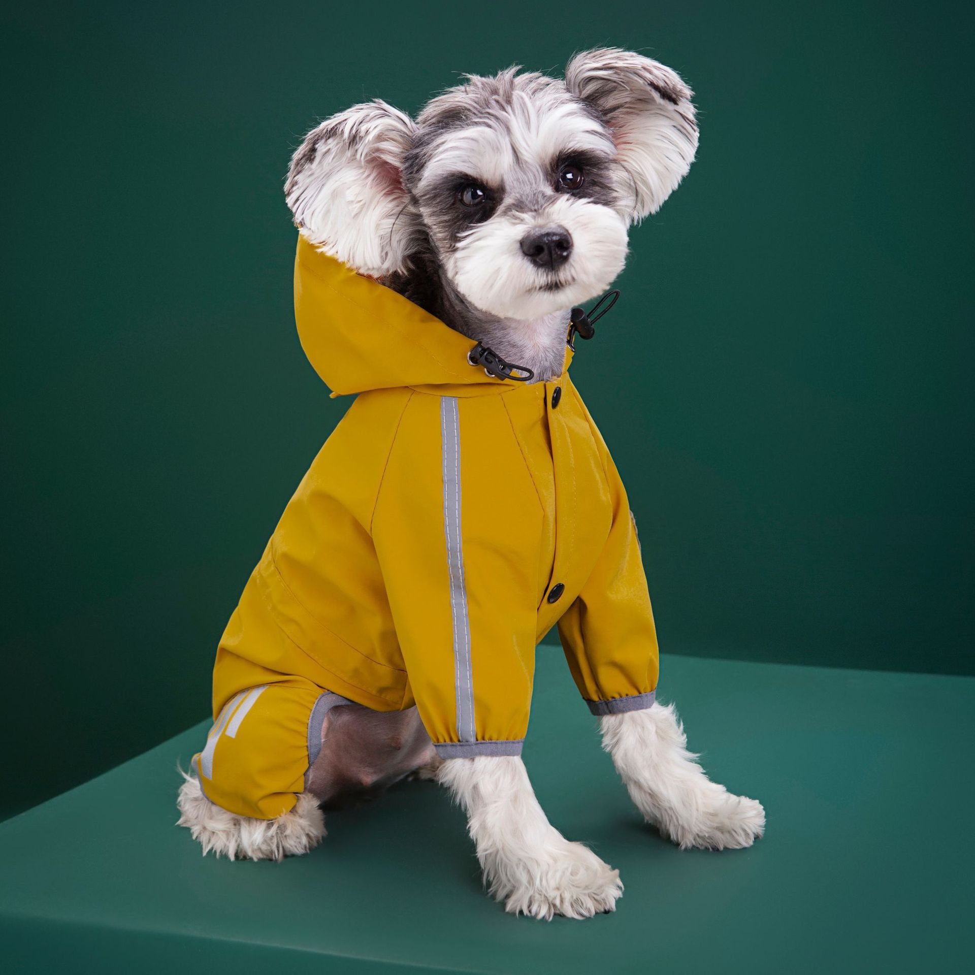 PET Produce Dog Raingoat Teddy Microg.