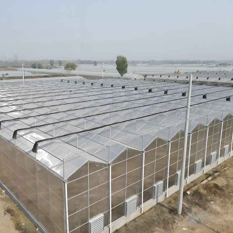 Polycarbonate greenhouse, galvanized steel pipe greenhouse frame, vegetable and fruit planting, sunlight board greenhouse