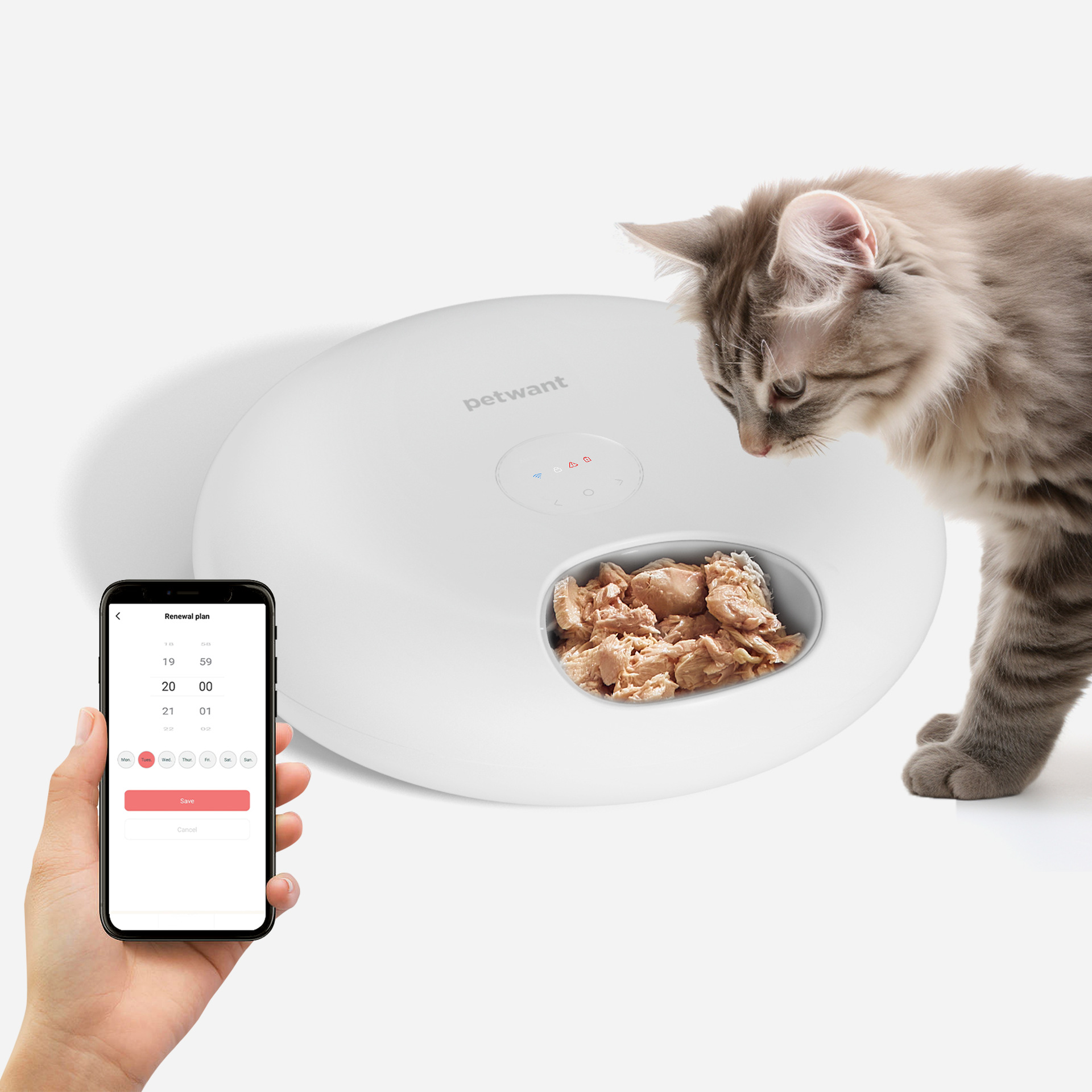 Paewang Pet Автоматическое кормление.