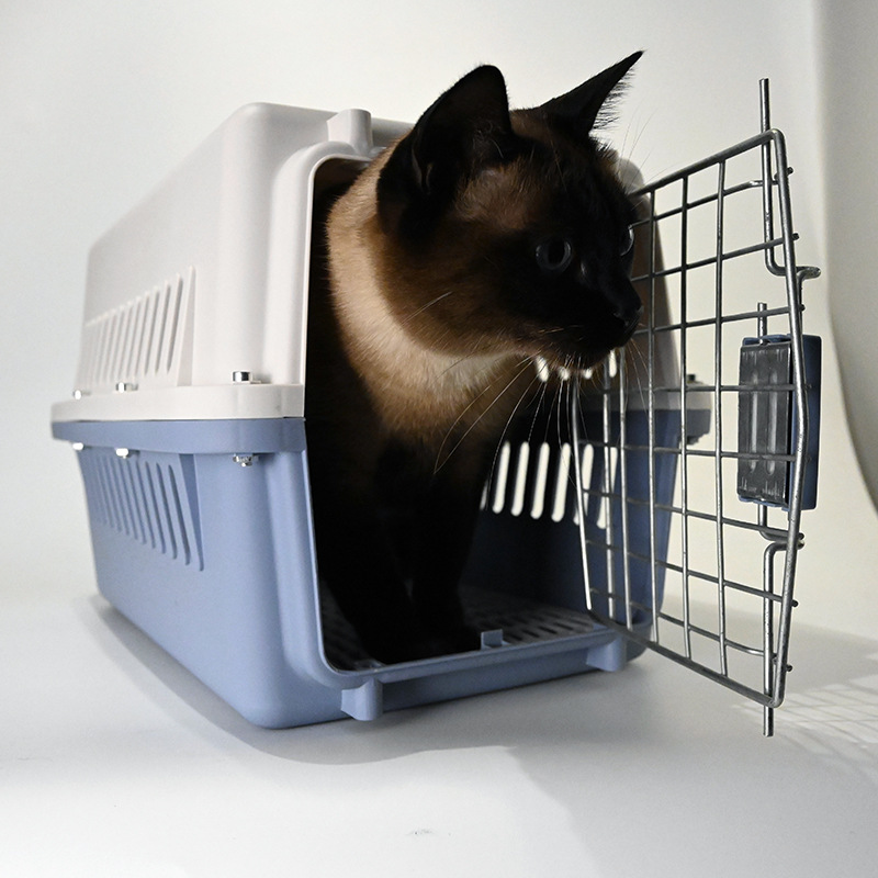 Air China Cat Aviation Box Credit Box Catal Cag