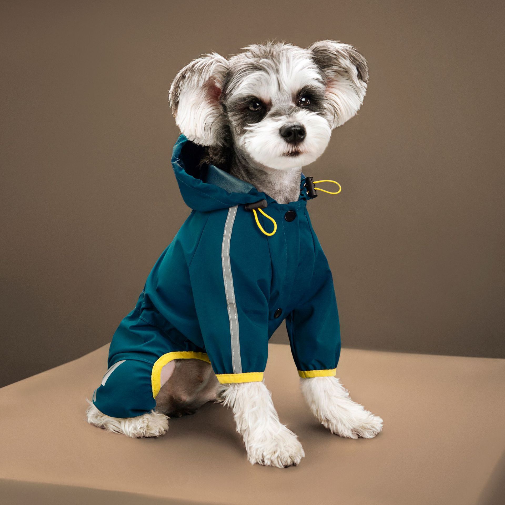 PET Produce Dog Raingoat Teddy Microg.