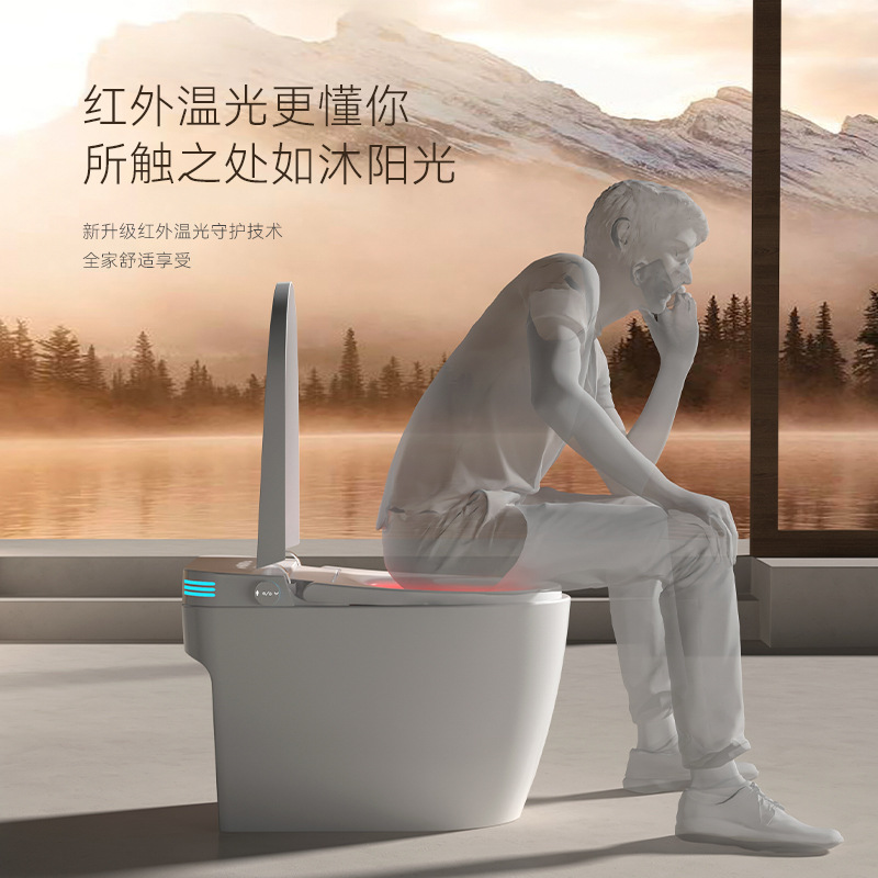 Умный антибактериальный унитаз World Bath модель 703