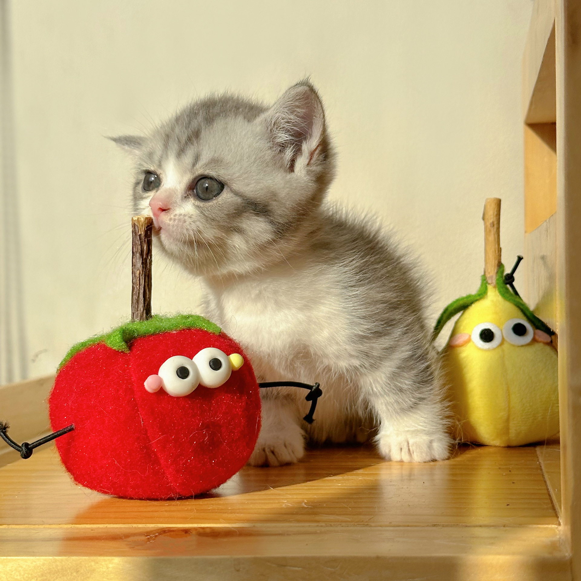Милая интерактивная игрушка, издает звуки, кот, избавление от скуки
