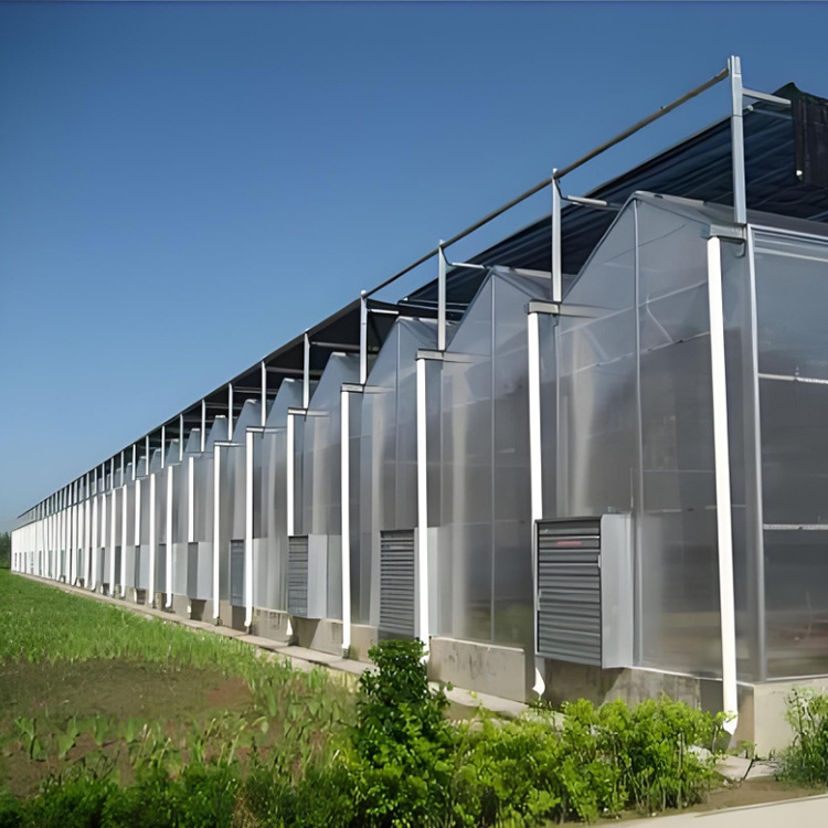 Polycarbonate greenhouse, galvanized steel pipe greenhouse frame, vegetable and fruit planting, sunlight board greenhouse